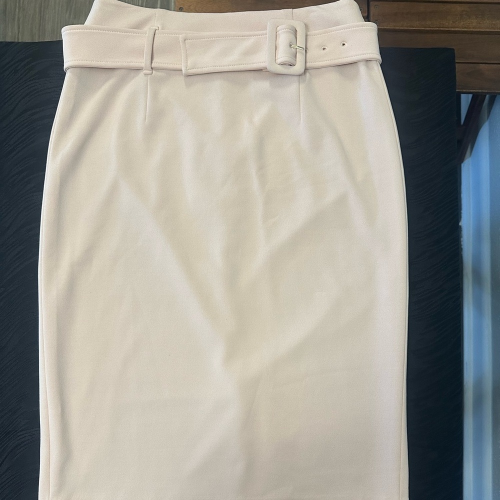 Calvin Klein Light Pink A-Line Skirt with Belt